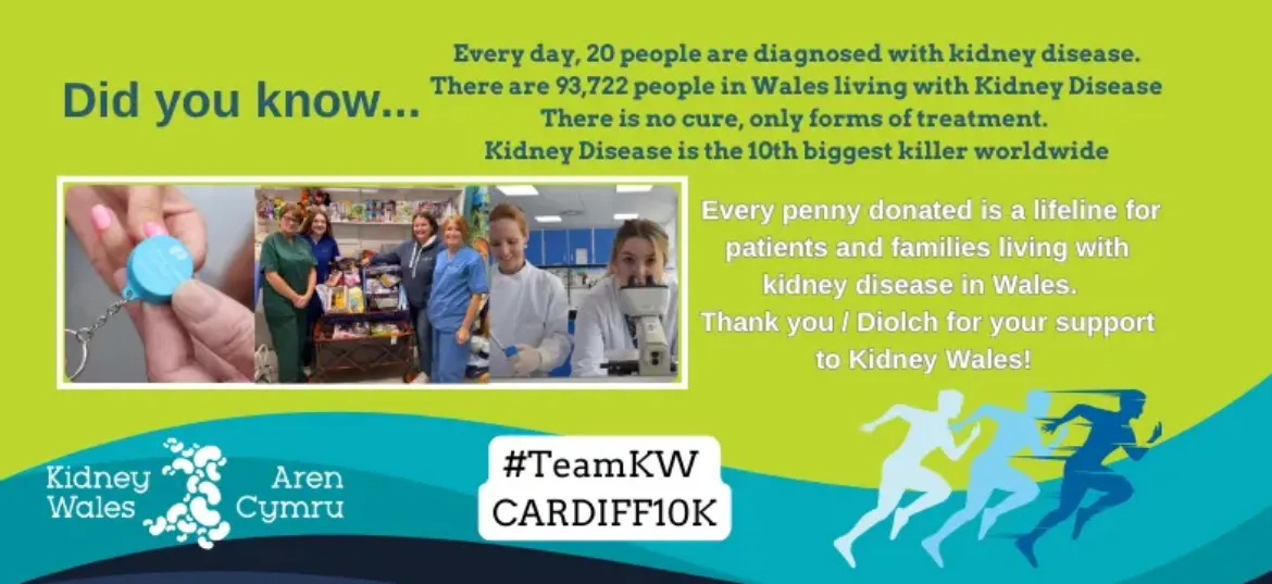 Kidney Wales