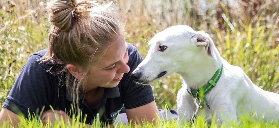 The Cotswolds Dogs & Cats Home
