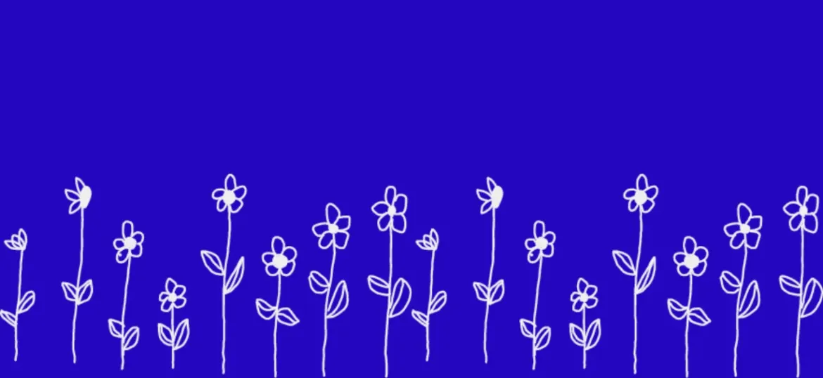 The Blossom Charity