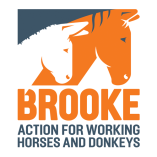 Brooke Action for Working Horses and Donkeys