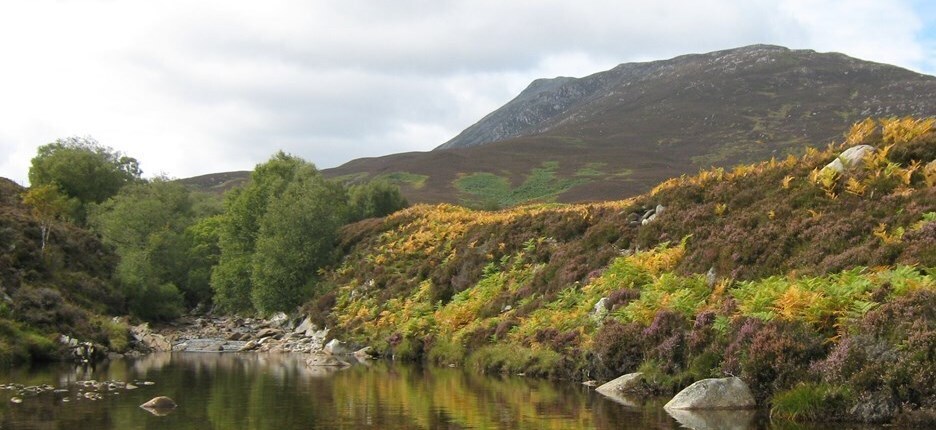 The John Muir Trust