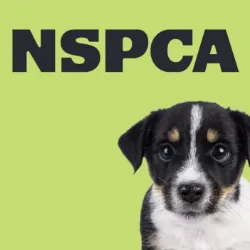 NSPCA