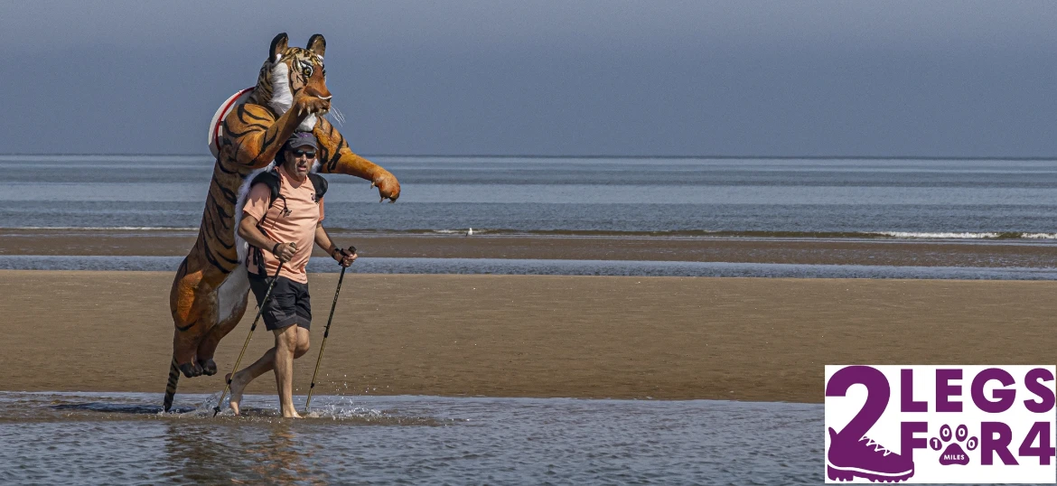2 Legs for 4 - fundraising for tigers
