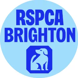 RSPCA Brighton & The Heart of Sussex