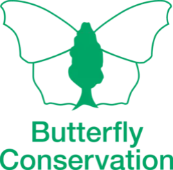 Butterfly Conservation