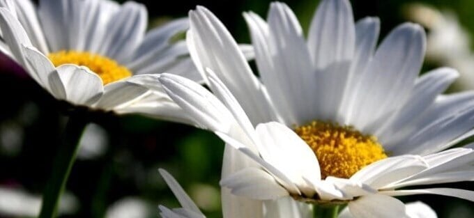 Northamptonshire Health Charitable Fund