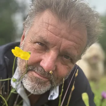 Martin Roberts Homes under the Hammer