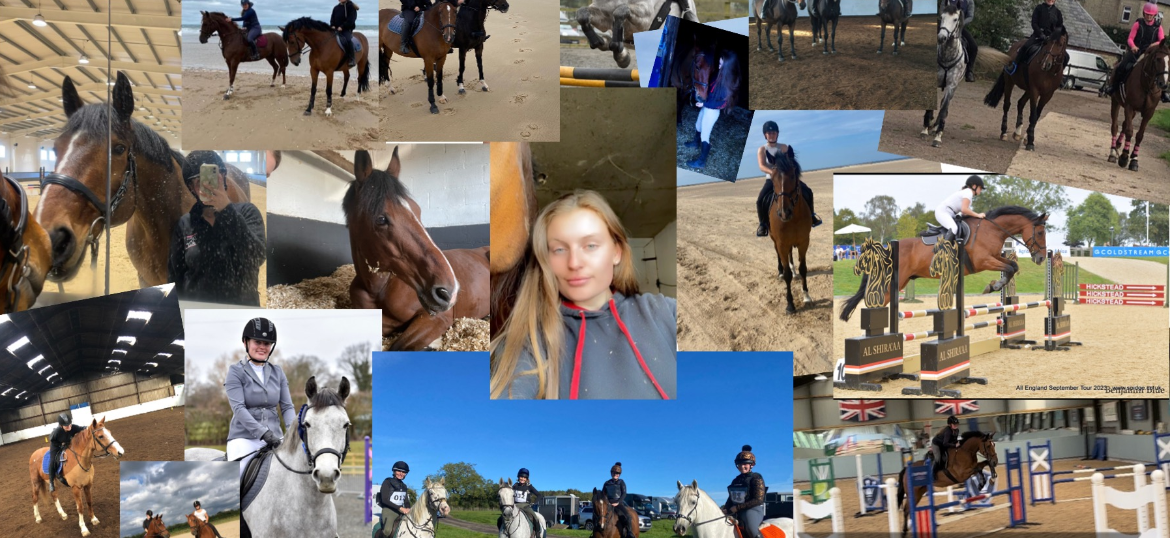 World Horse Welfare