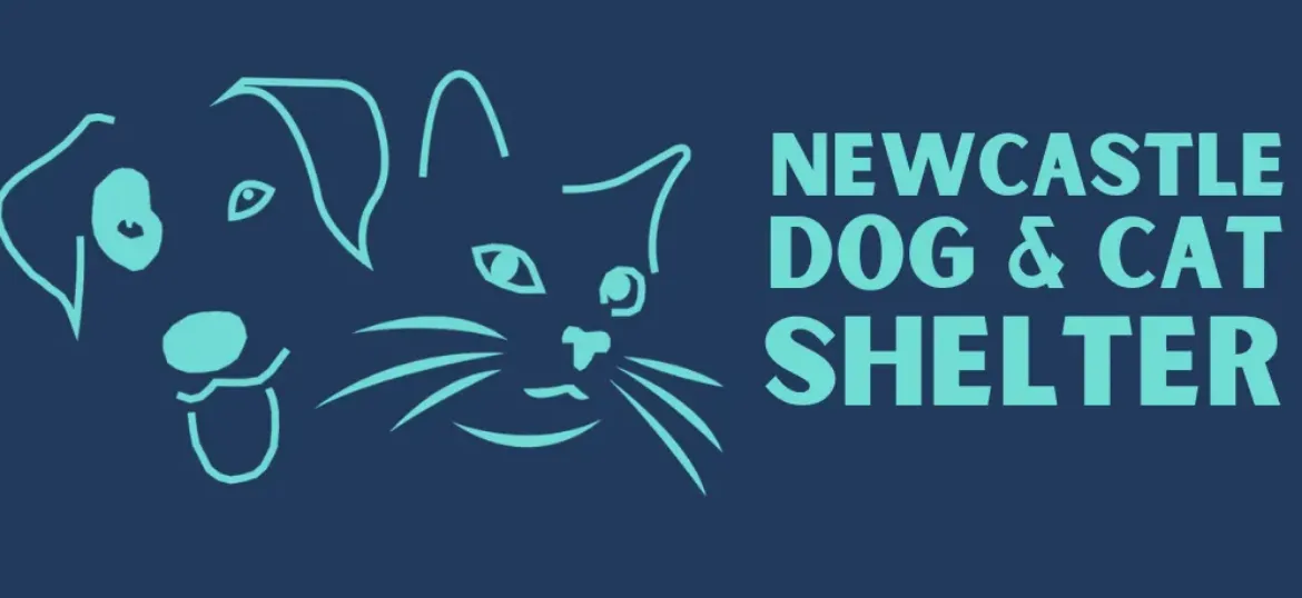 Newcastle Dog and Cat Shelter