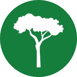 International Tree Foundation