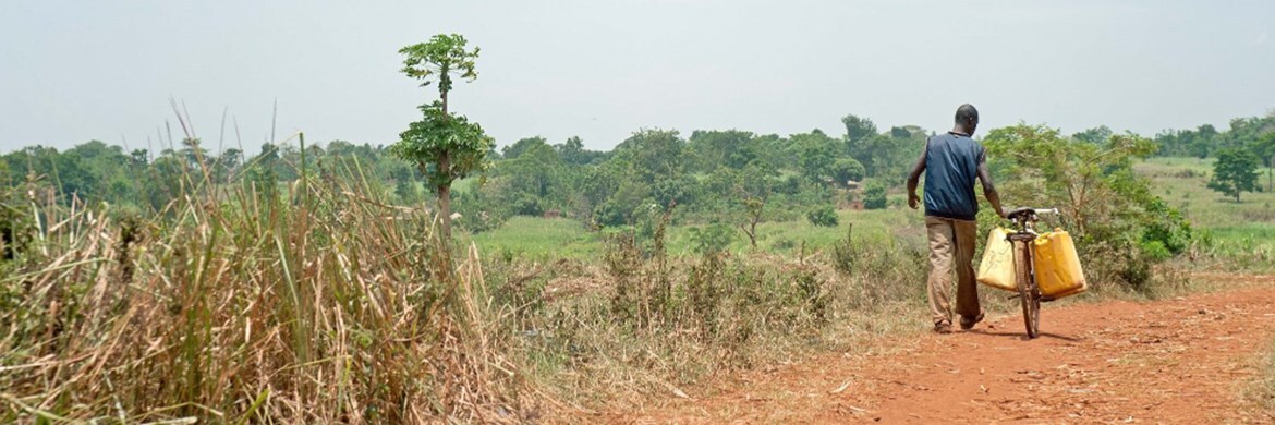 The Busoga Trust