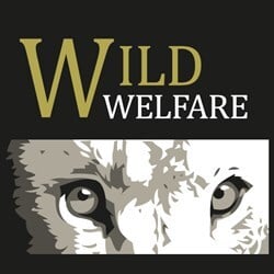 Wild Welfare