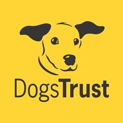 Dogs Trust