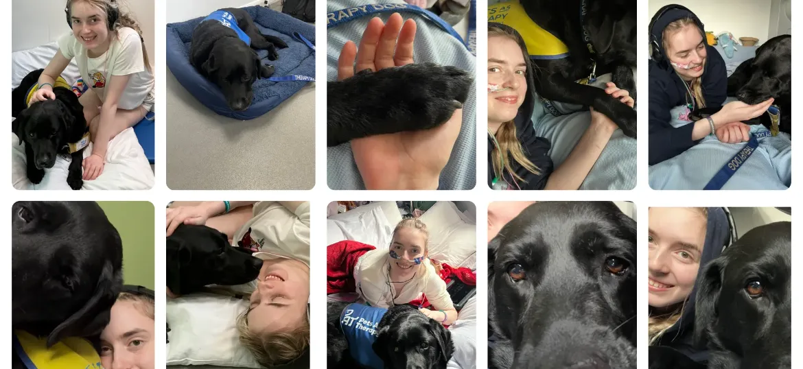 Pets As Therapy