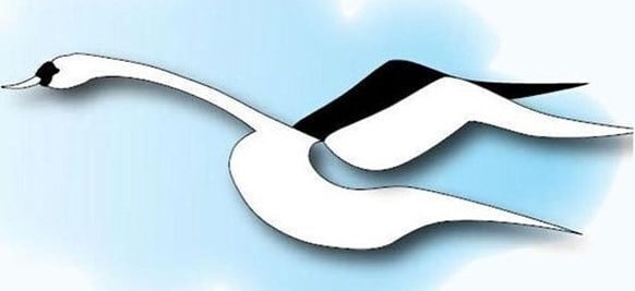 The SWAN Model