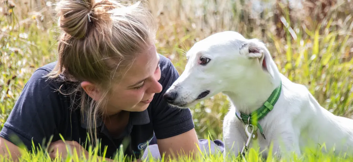 Royal Society for the Prevention of Cruelty to Animals Cotswolds, Gloucester & District Branch CIO
