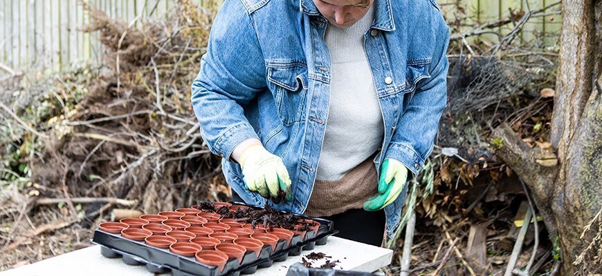 Garden to Plate