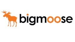 bigmoose