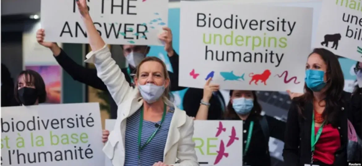 WWF - UK