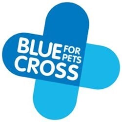 Blue Cross Horses