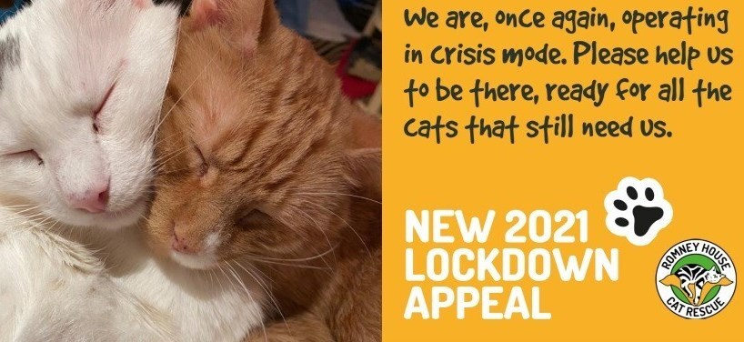 COVID-19 APPEAL