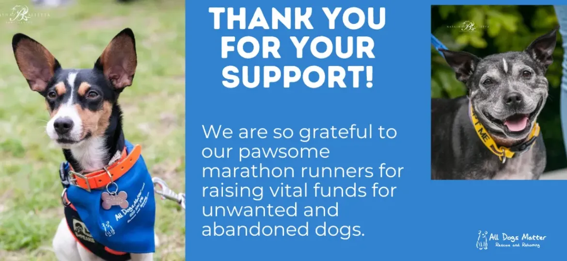 All Dogs Matter
