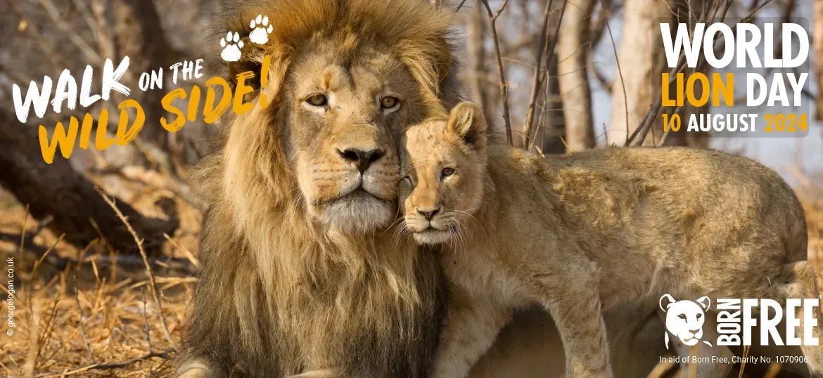 The Born Free Foundation