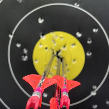 Hannah Brown and my Archery Raffle