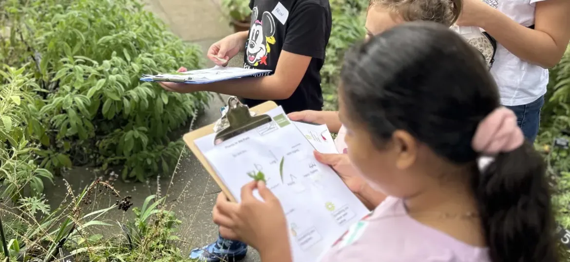 Plant Futures with the SLBI