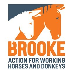 Brooke Action for Working Horses and Donkeys