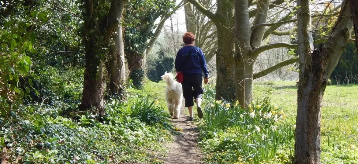 CPRE Hampshire