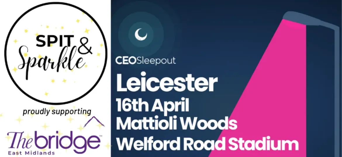 CEO Sleepout