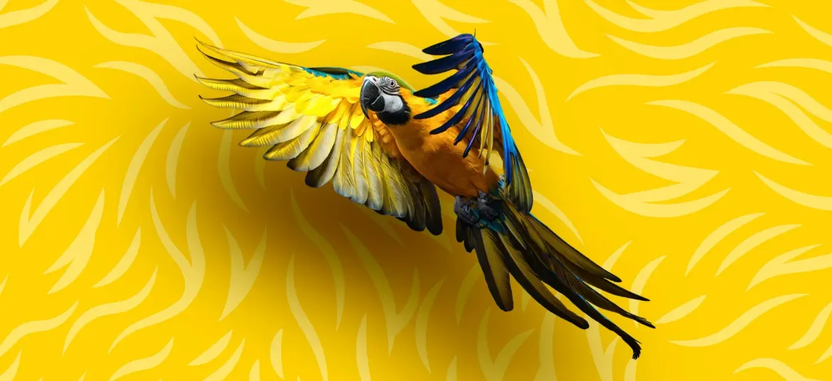 ZSL (Zoological Society of London)