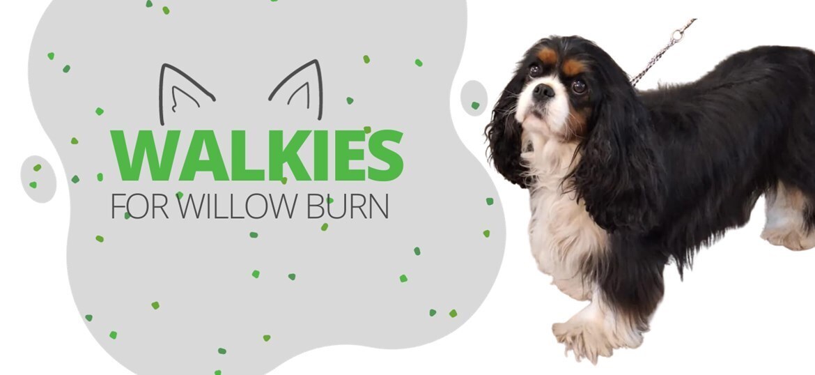 Walkies for Willow Burn