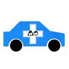 TRANSPORT FOR SICK CHILDREN LIMITED
