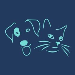 Newcastle Dog and Cat Shelter
