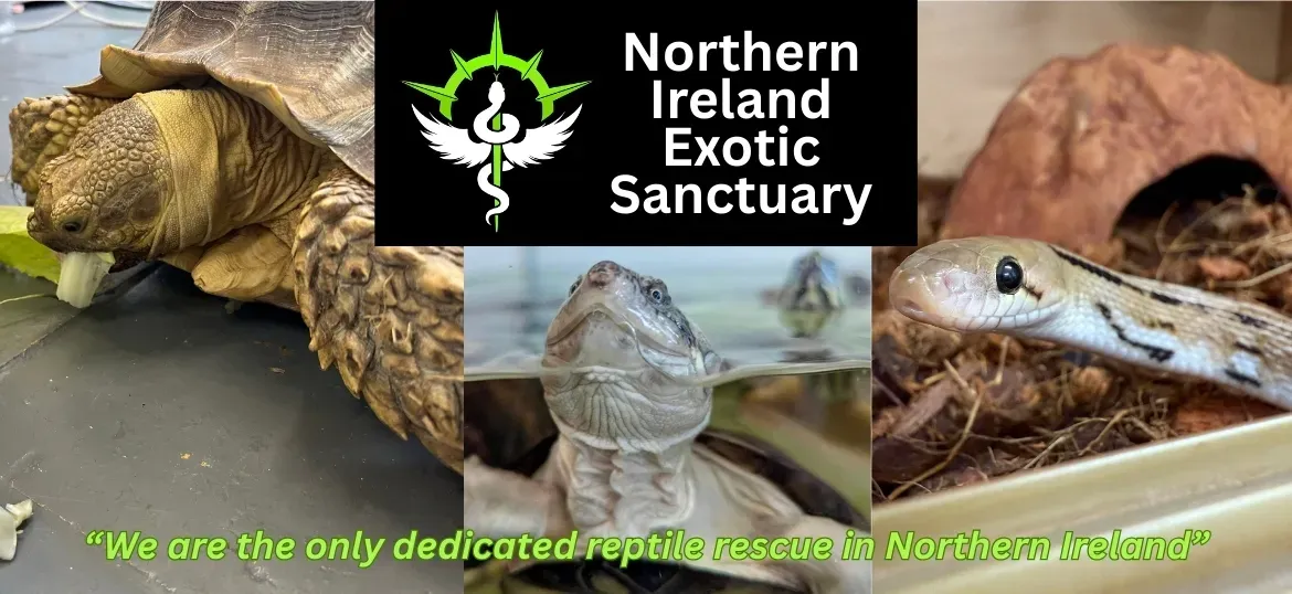 NI Exotic Sanctuary / Fund My Shelter