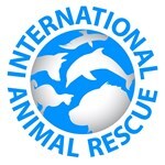 International Animal Rescue