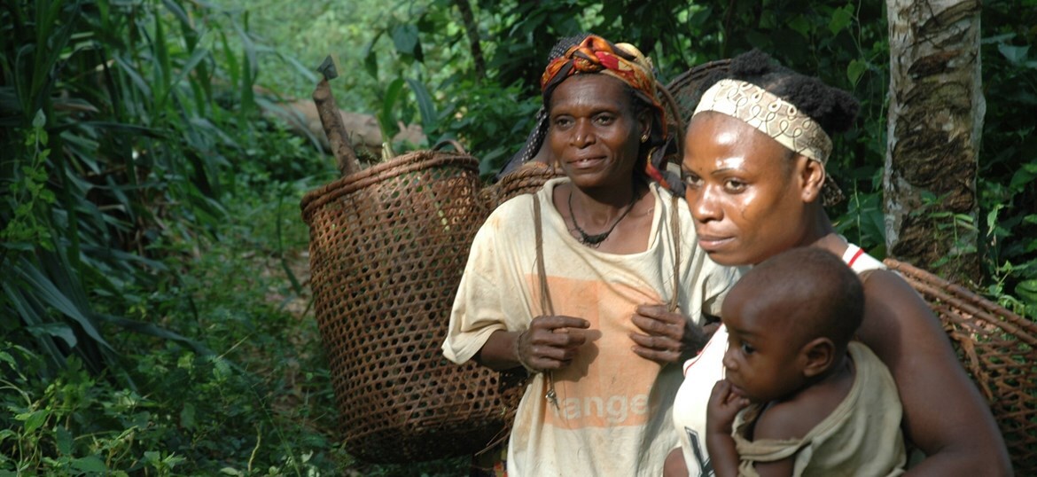 Rainforest Foundation UK