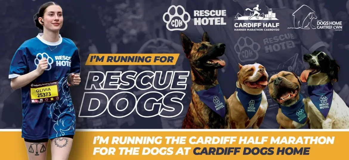 The Rescue Hotel