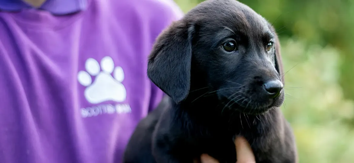 Scottish SPCA