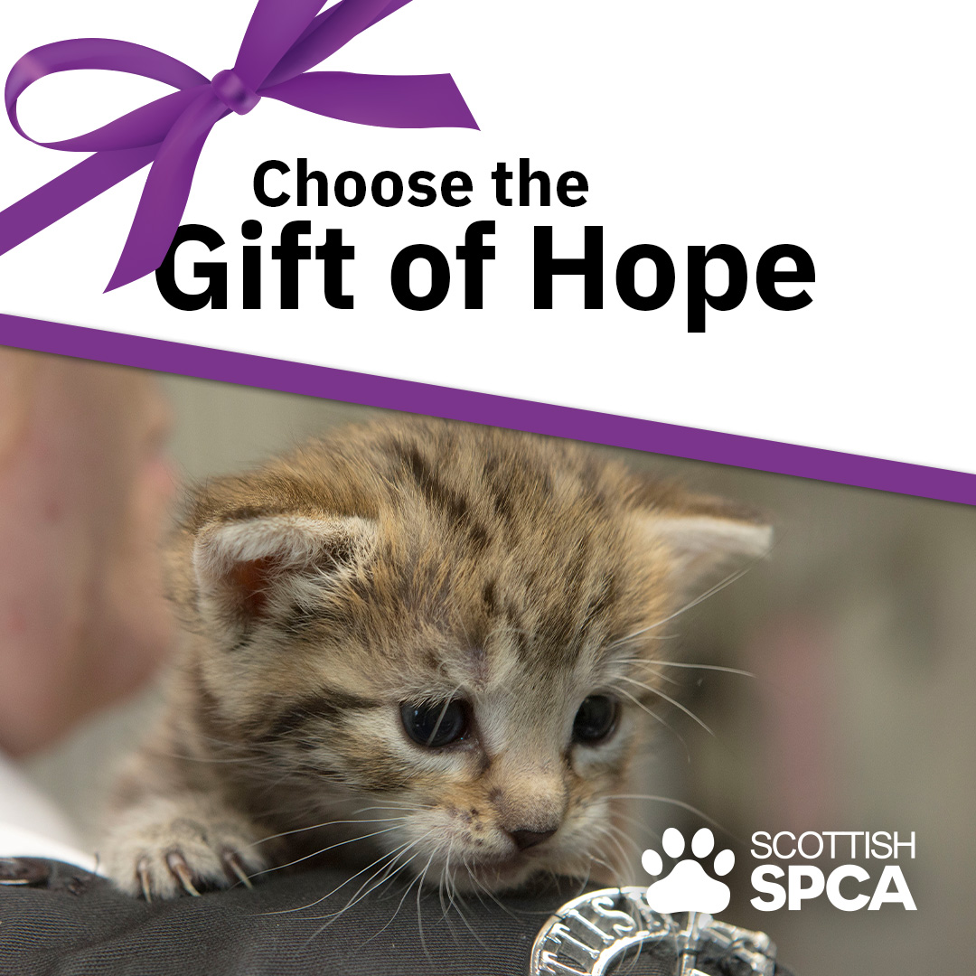 Scottish SPCA