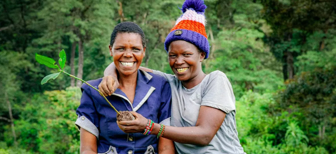 International Tree Foundation
