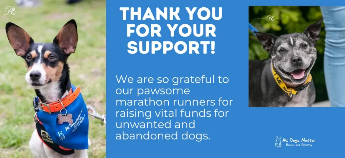 All Dogs Matter