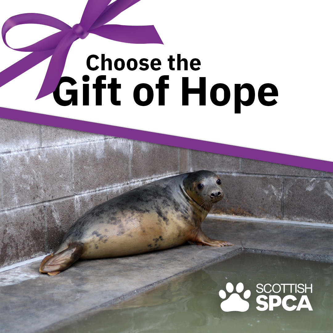 Scottish SPCA