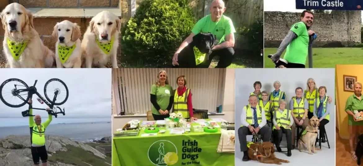 Irish Guide Dogs for the Blind