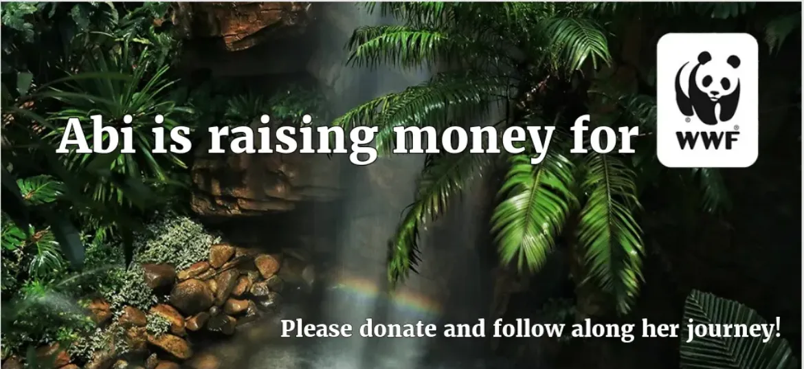WWF - UK