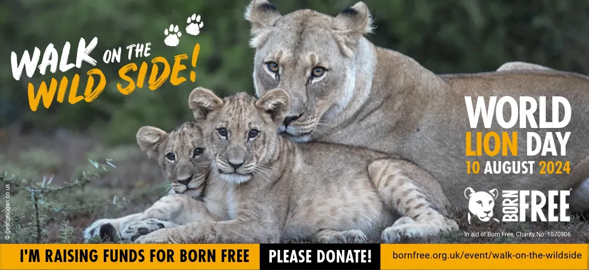 The Born Free Foundation