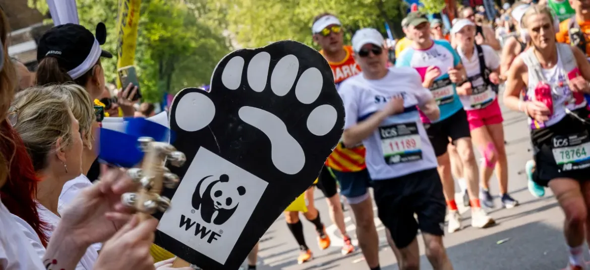 WWF - UK
