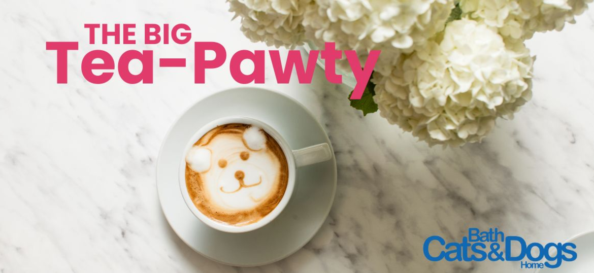The Big Tea-Pawty